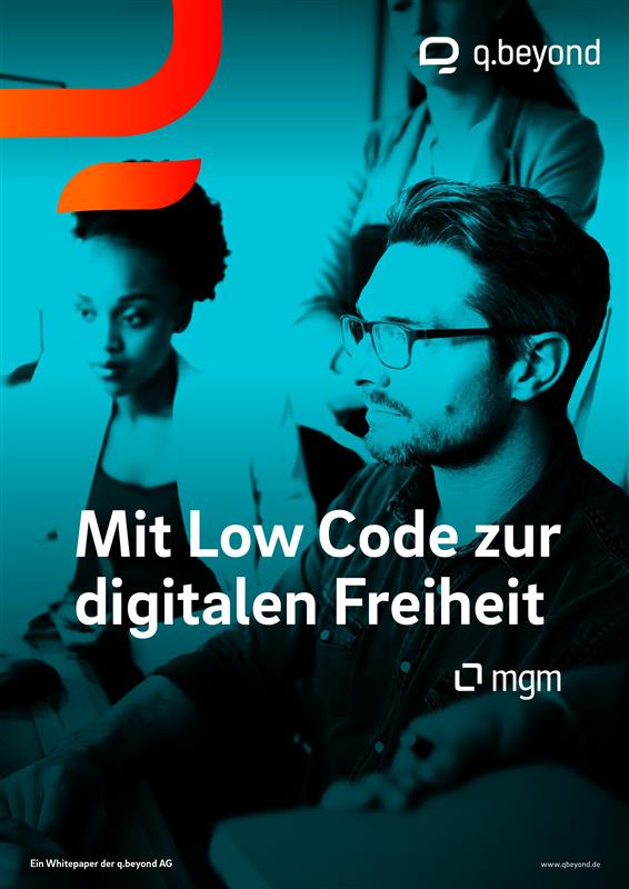 Whitepaper: Low Code Entwicklung mit A12